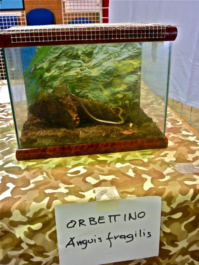 Tartufesta a Pianoro, con il Centro Anfibi!